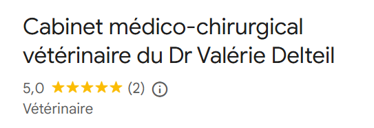 Avis Google