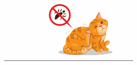 Illustration : chat et pictogramme anti-puces