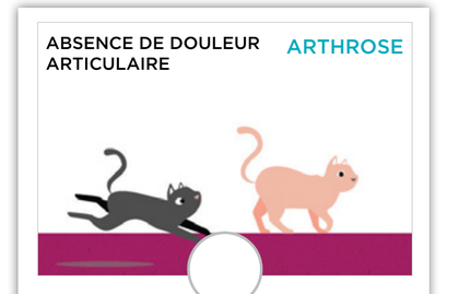 Illustration : chat courant, pattes arrière rapprochées