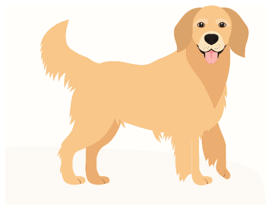 Illustration : chien