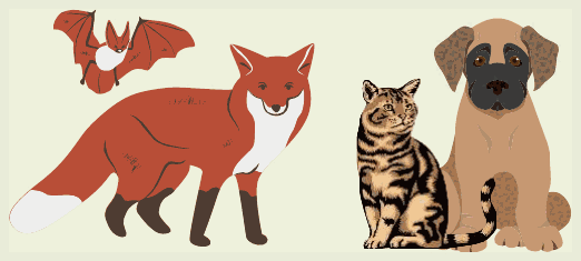 Illustration : chauve-souris, renard, chat et chien, espèces concernées par la rage