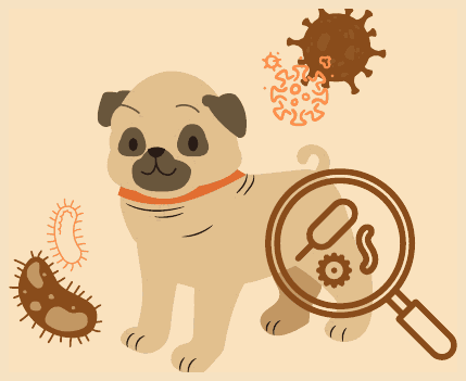 Illustration : chien examiné à la loupe